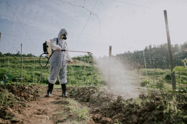 Best Mosquito Control Services  in Rockwood, TN