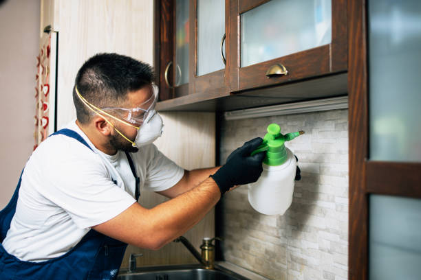 Best Pest Prevention Services  in Rockwood, TN