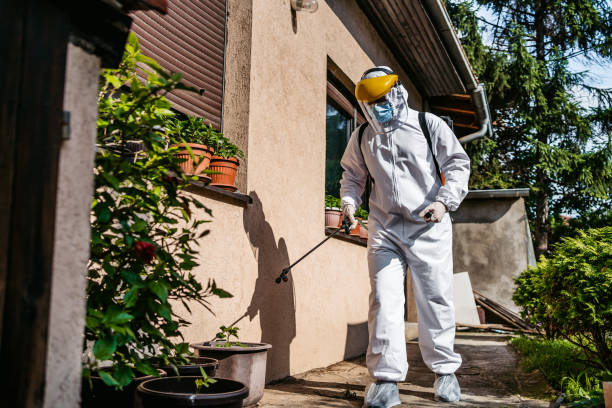 Best Wasp Removal Services  in Rockwood, TN