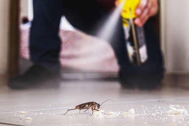 Best Residential Pest Control  in Rockwood, TN