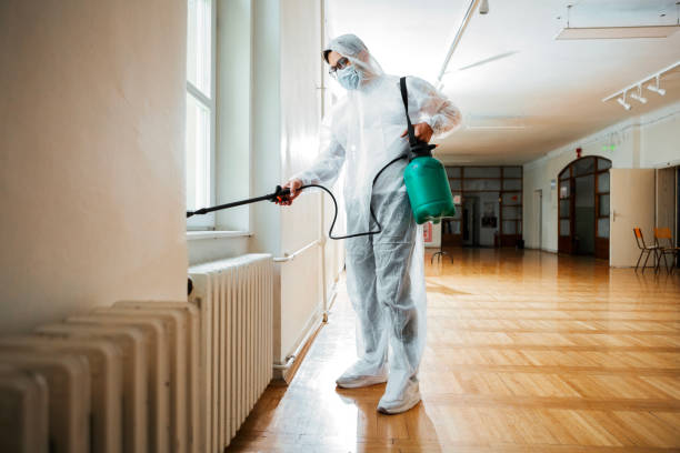 Best Emergency Pest Control  in Rockwood, TN
