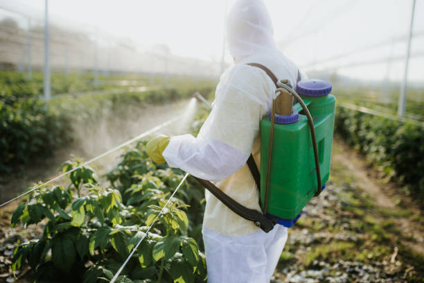 Best Cockroach Control Services  in Rockwood, TN